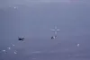  MQ-9 के सामने दागे फ्लेयर्स, रूसी विमानों ने रोका अमेरिकी ड्रोन का रास्ता !